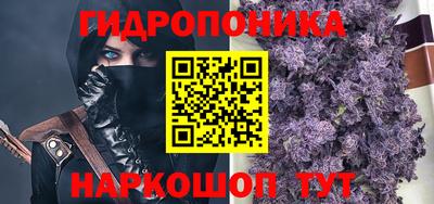 мяу мяу мука Гатчина