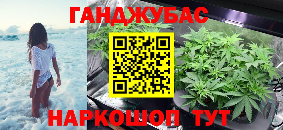Бошки Шишки планчик Мирный